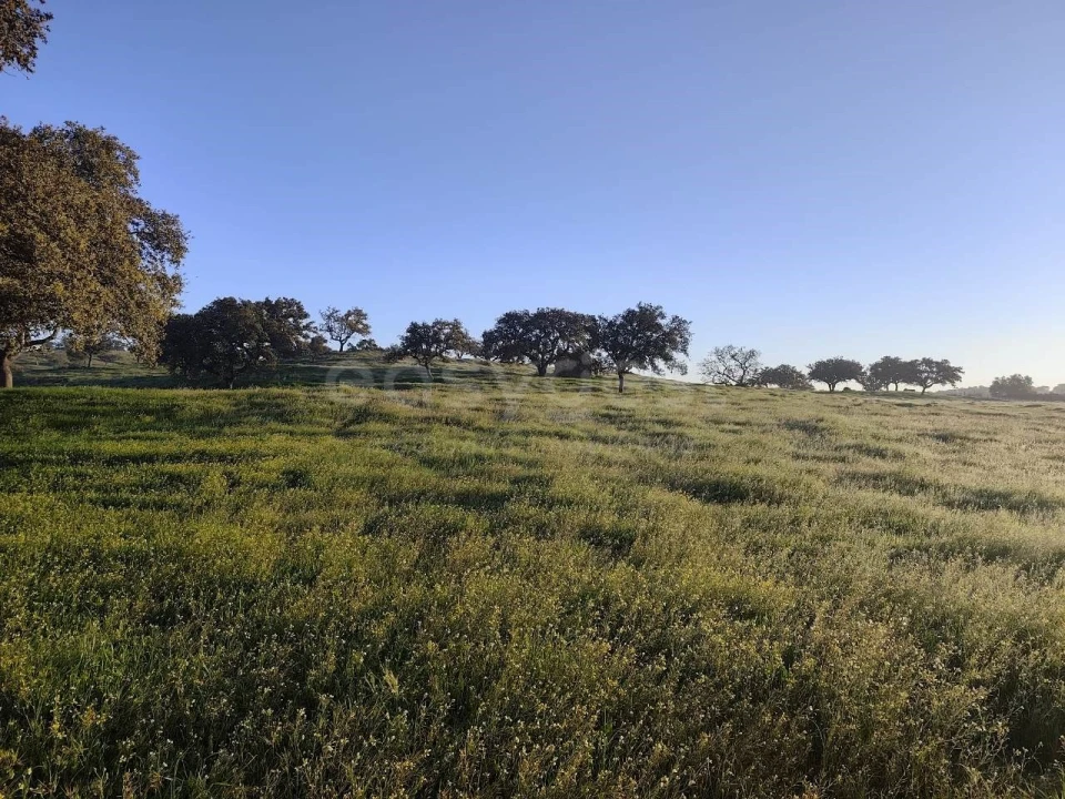 Quinta T2 para Venda em Messejana Foto 17