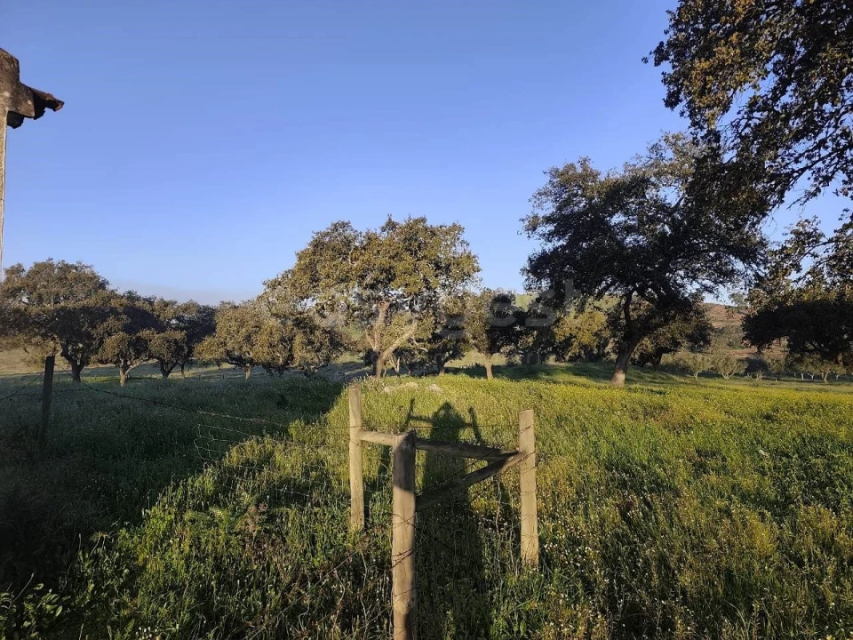 Quinta T2 para Venda em Messejana Foto 21