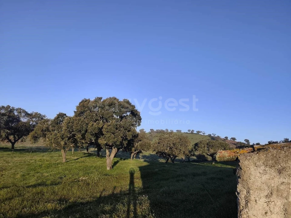 Quinta T2 para Venda em Messejana Foto 24