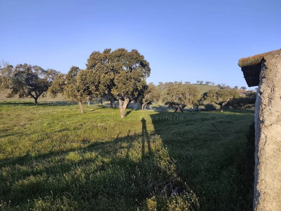 Quinta T2 para Venda em Messejana Foto 25