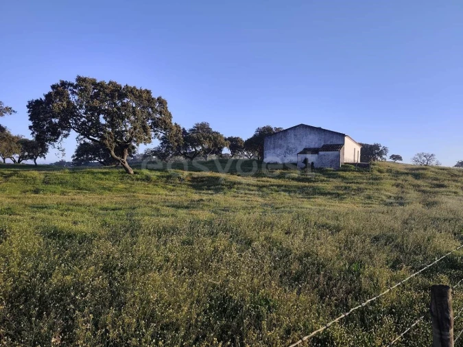 Quinta T2 para Venda em Messejana Foto 1