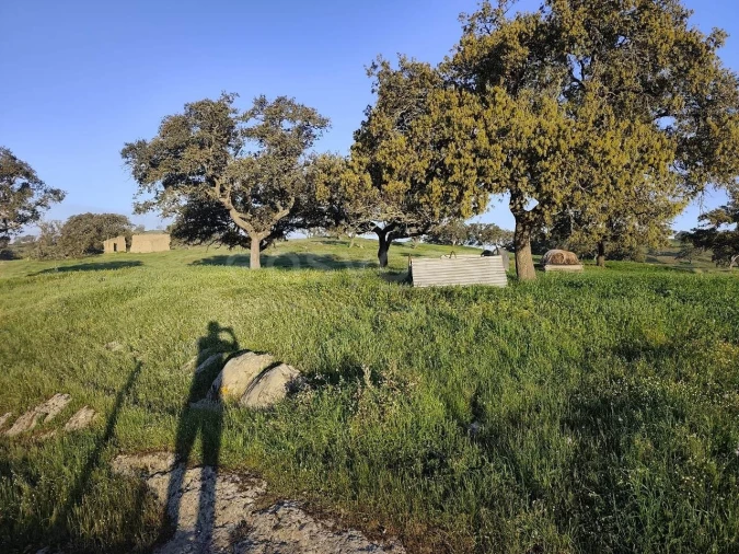 Quinta T2 para Venda em Messejana Foto 4