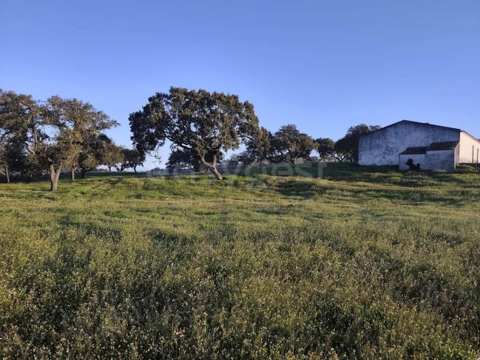 Quinta T2 para Venda em Messejana Foto 6