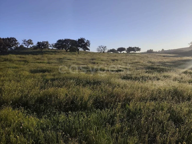 Quinta T2 para Venda em Messejana Foto 9