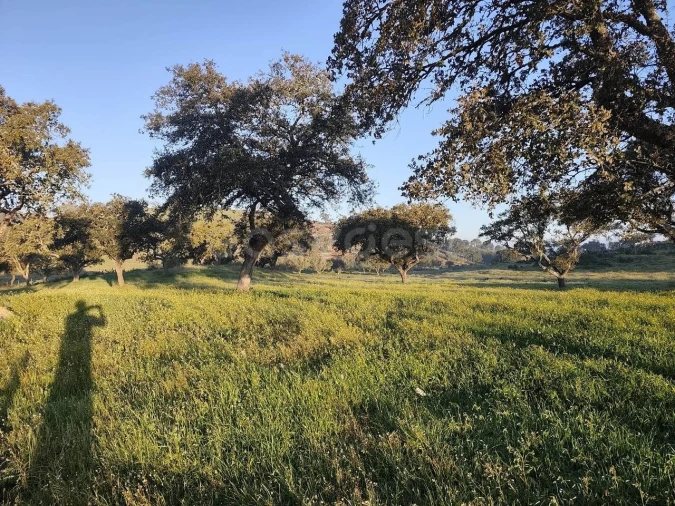 Quinta T2 para Venda em Messejana Foto 13