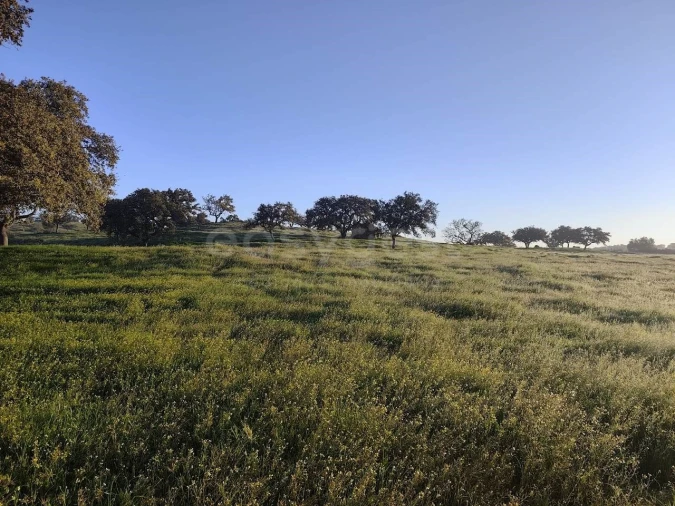 Quinta T2 para Venda em Messejana Foto 17