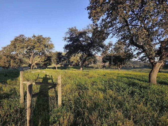 Quinta T2 para Venda em Messejana Foto 20