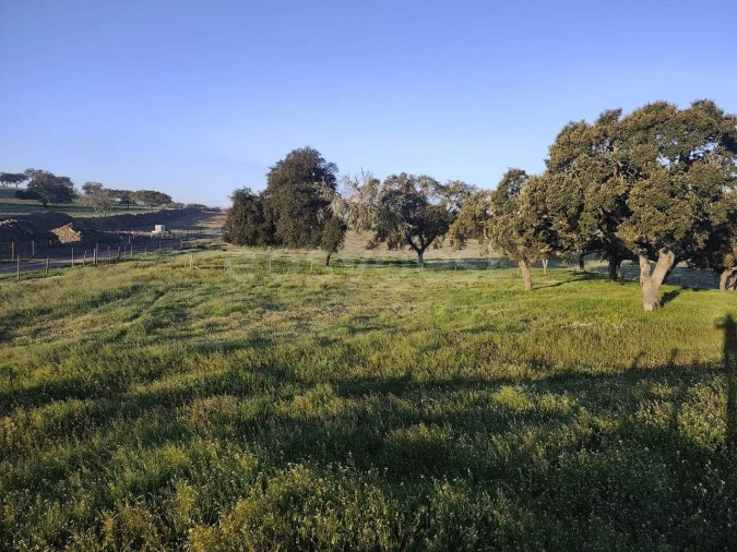 Quinta T2 para Venda em Messejana Foto 26