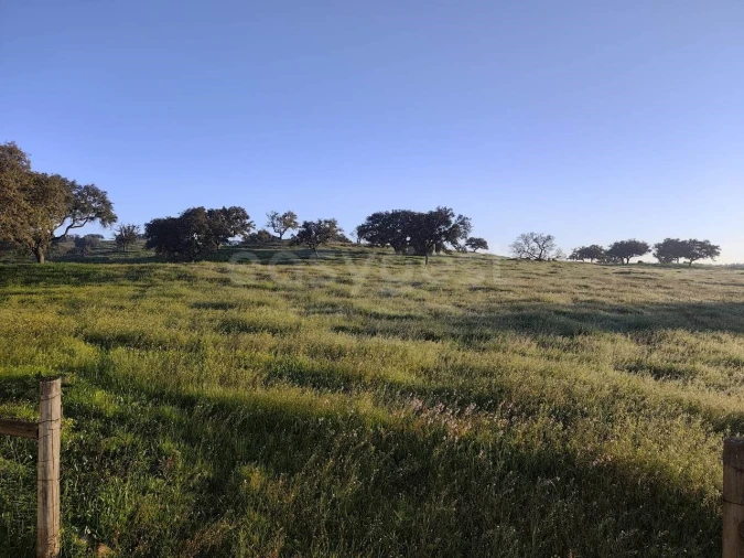 Quinta T2 para Venda em Messejana Foto 28