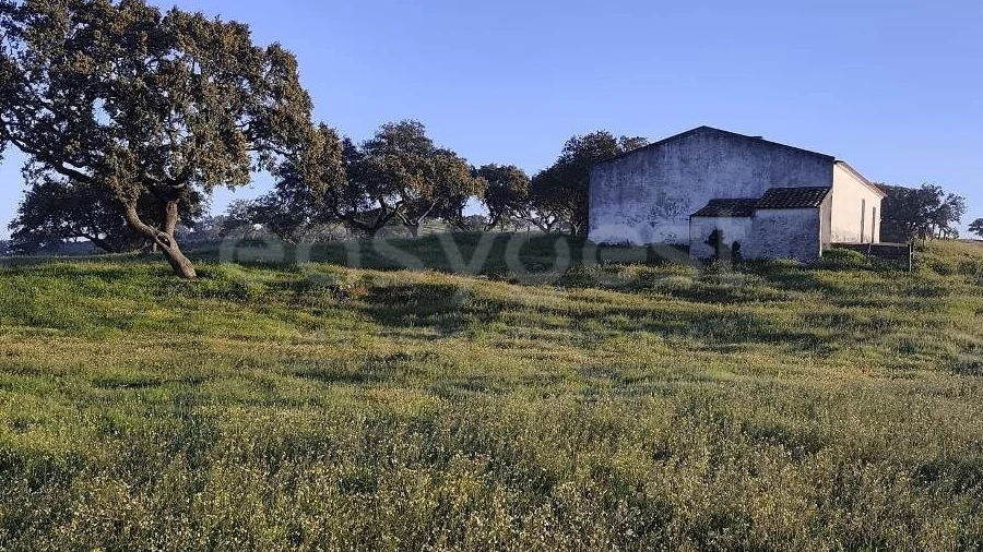 Quinta T2 para Venda em Messejana