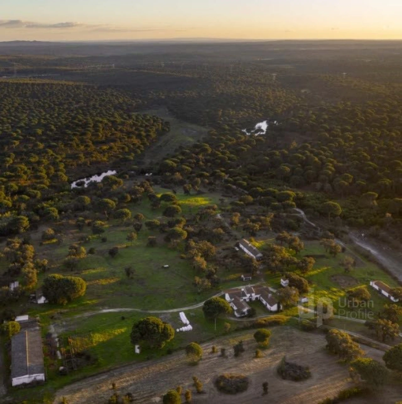 Quinta T5 para Venda em Vendas Novas Foto 3