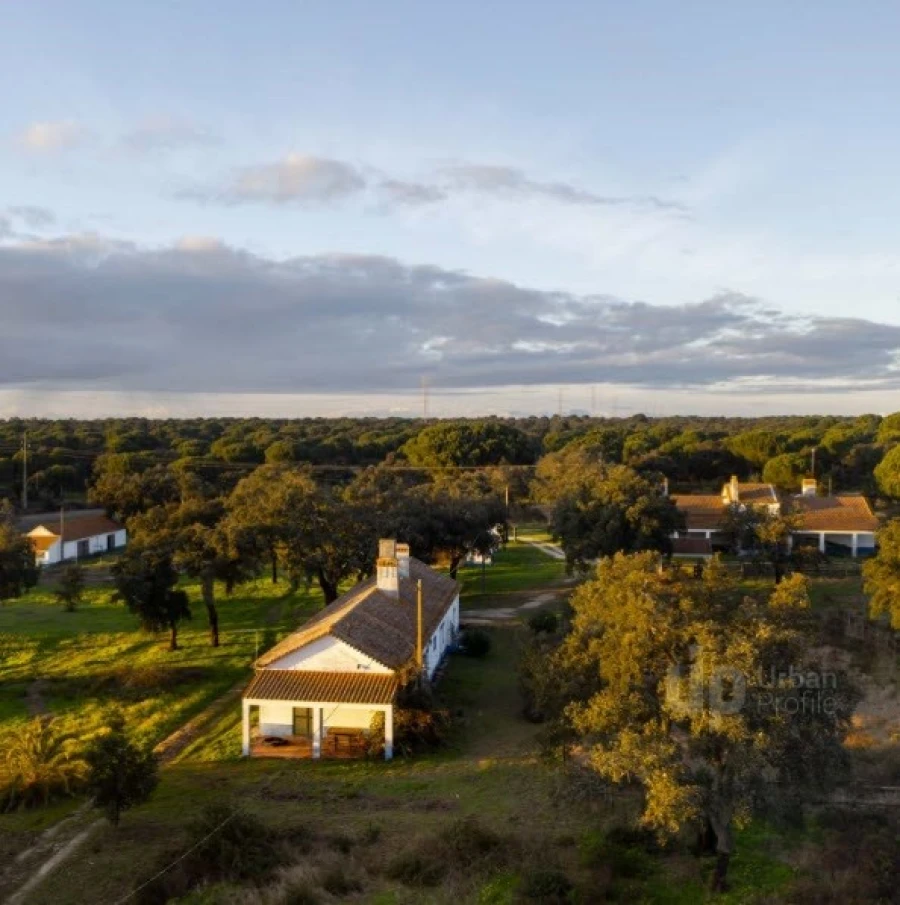 Quinta T5 para Venda em Vendas Novas Foto 2