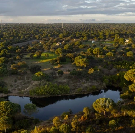 Quinta T5 para Venda em Vendas Novas Foto 4