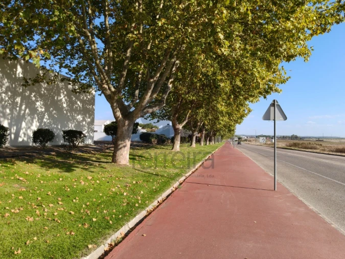 Moradia T2 para Venda em Almeirim Foto 33