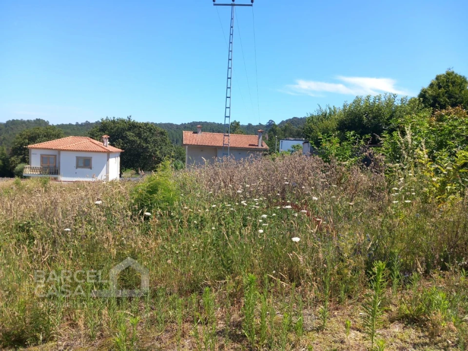 Terreno para Venda em Antas Foto 4