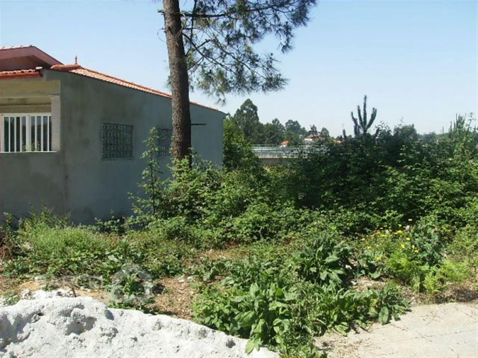 Terreno para Venda em Lama Foto 3