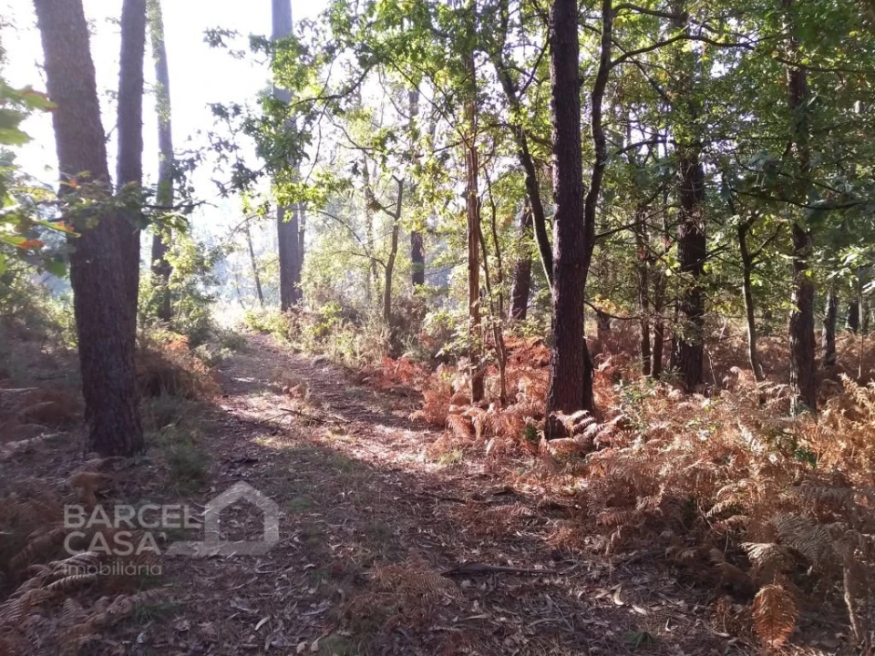 Terreno Comércio / Armazém para Venda em Barcelos, V.Boa, V.Frescainha Foto 1