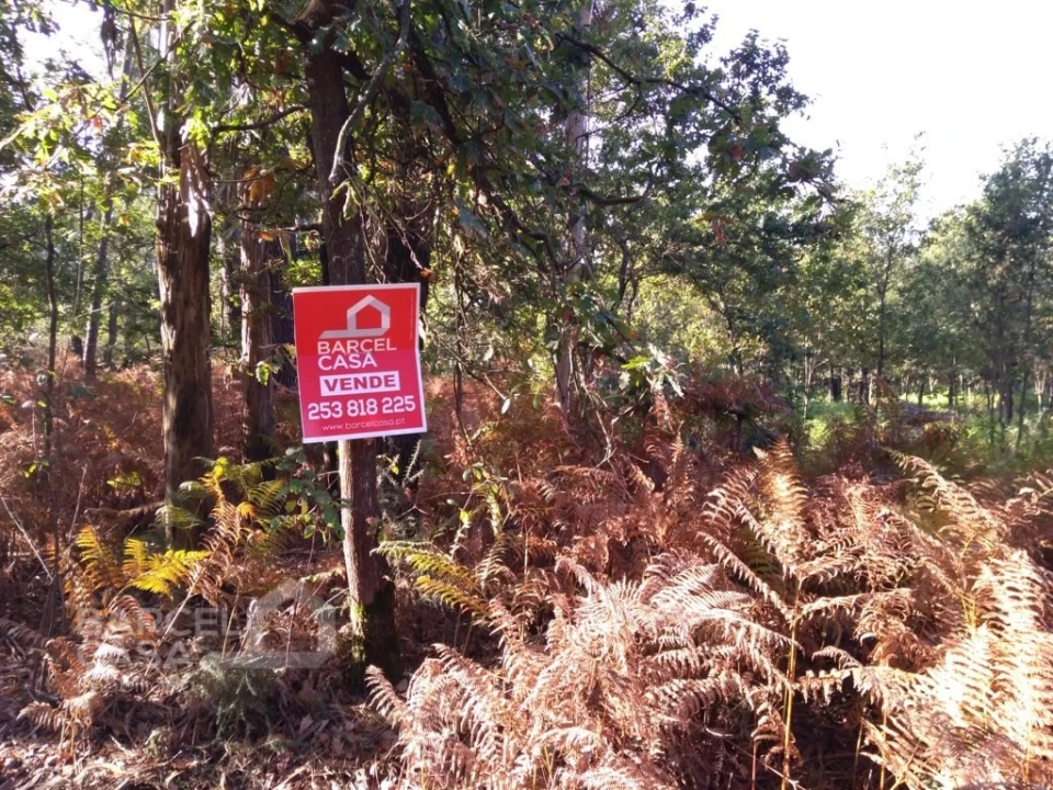 Terreno Comércio / Armazém para Venda em Barcelos, V.Boa, V.Frescainha Foto 4
