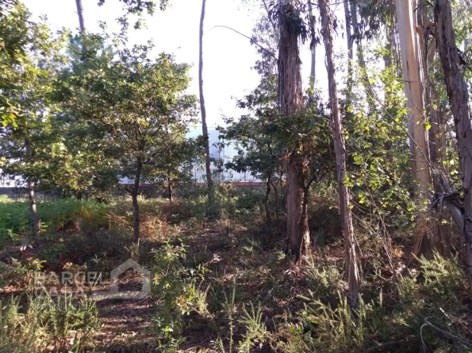 Terreno Comércio / Armazém para Venda em Barcelos, V.Boa, V.Frescainha Foto 3