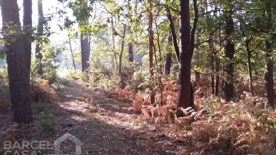 Terreno Comércio / Armazém para Venda em Barcelos, V.Boa, V.Frescainha