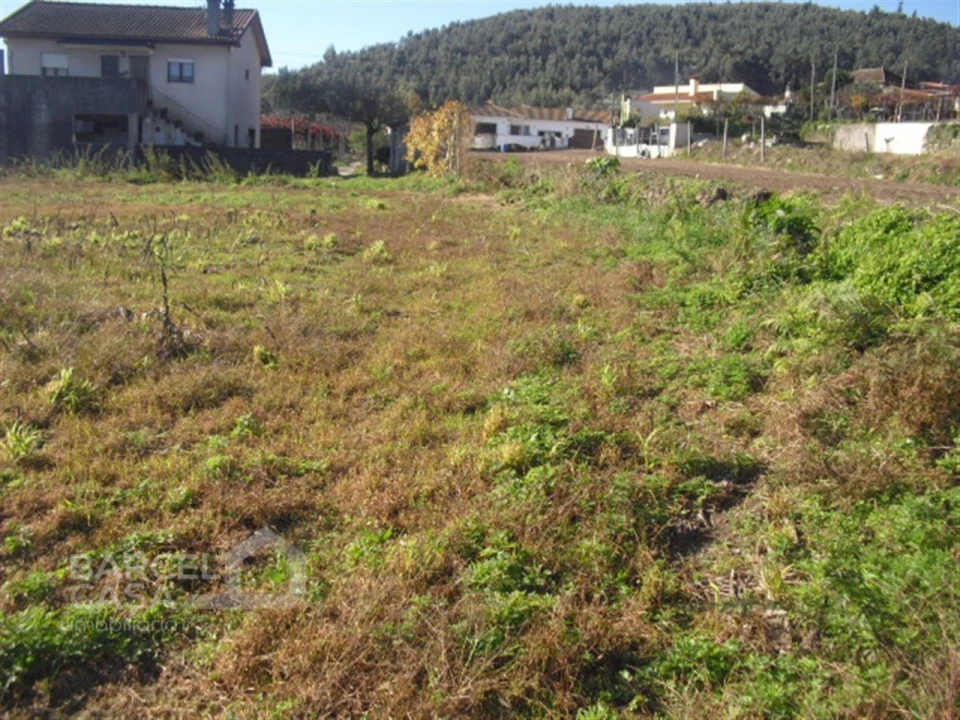 Terreno Agricola ou Rústico para Venda em Tamel (Santa Leocádia) e Vilar do Monte Foto 1