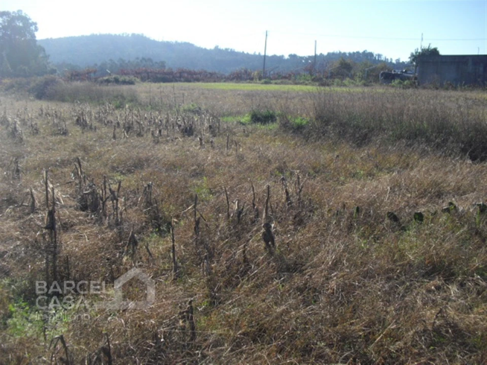 Terreno Agricola ou Rústico para Venda em Tamel (Santa Leocádia) e Vilar do Monte Foto 3