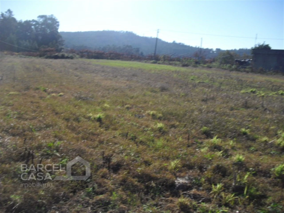 Terreno Agricola ou Rústico para Venda em Tamel (Santa Leocádia) e Vilar do Monte Foto 5