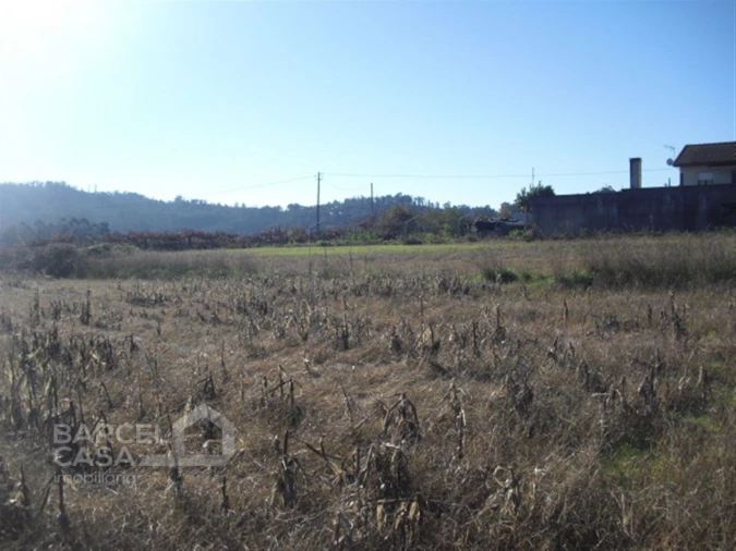 Terreno Agricola ou Rústico para Venda em Tamel (Santa Leocádia) e Vilar do Monte Foto 2