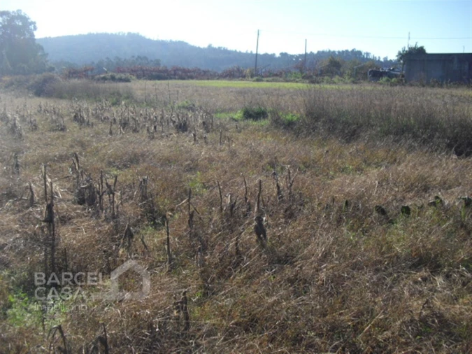 Terreno Agricola ou Rústico para Venda em Tamel (Santa Leocádia) e Vilar do Monte Foto 3