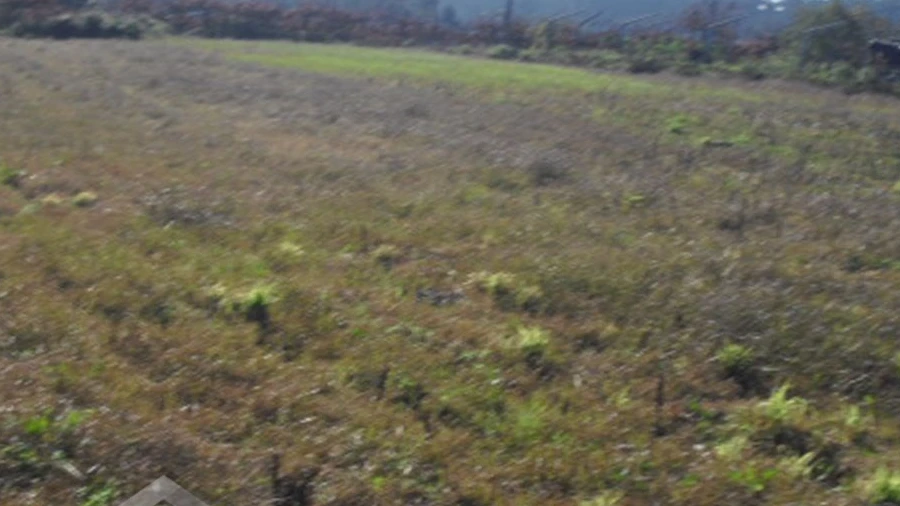 Terreno Agricola ou Rústico para Venda em Tamel (Santa Leocádia) e Vilar do Monte