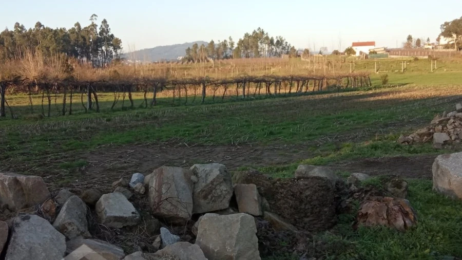 Terreno Agricola ou Rústico para Venda em Areias de Vilar e Encourados