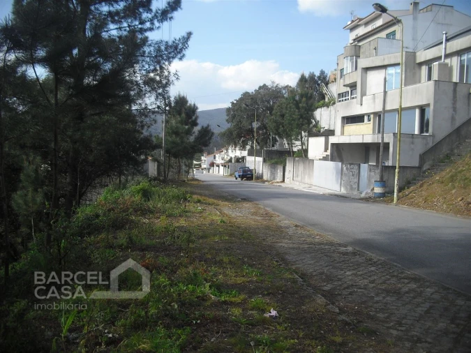 Terreno para Venda em Abade de Neiva Foto 1