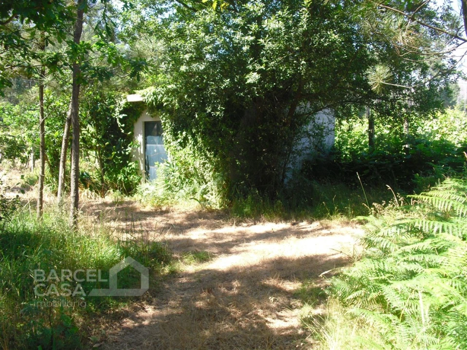 Terreno Agricola ou Rústico para Venda em Perelhal Foto 7