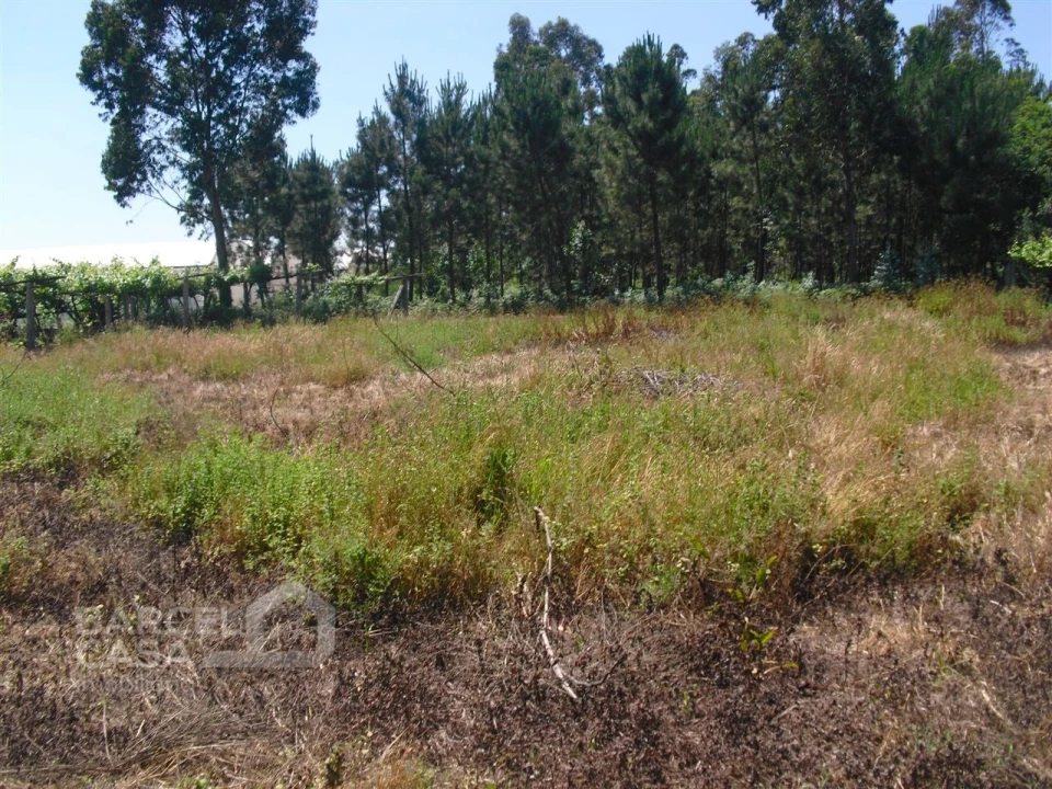 Terreno Agricola ou Rústico para Venda em Perelhal Foto 14