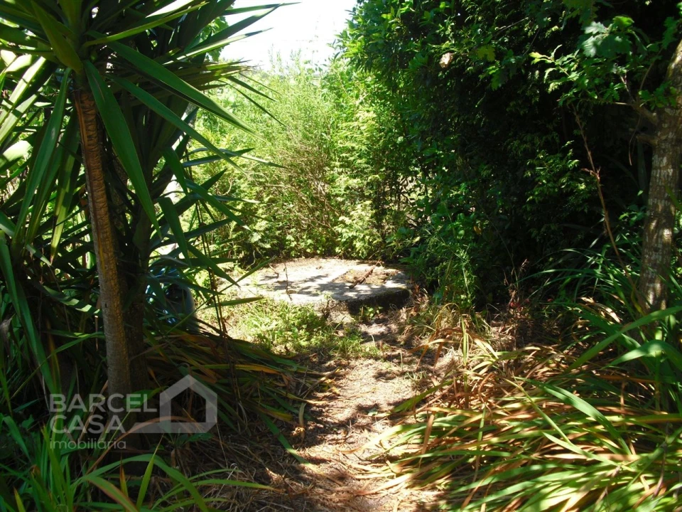 Terreno Agricola ou Rústico para Venda em Perelhal Foto 19
