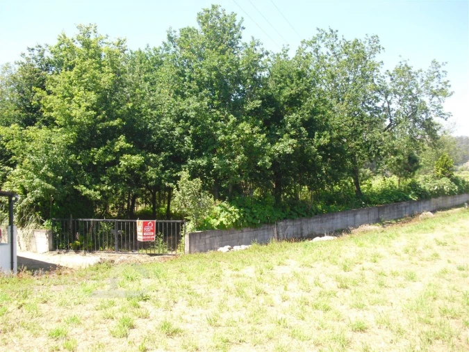 Terreno Agricola ou Rústico para Venda em Perelhal Foto 3
