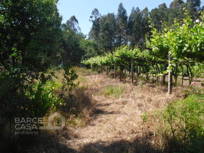 Terreno Agricola ou Rústico para Venda em Perelhal Foto 10