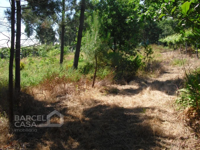 Terreno Agricola ou Rústico para Venda em Perelhal Foto 13