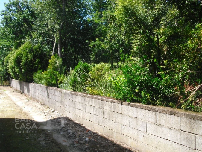 Terreno Agricola ou Rústico para Venda em Perelhal Foto 21