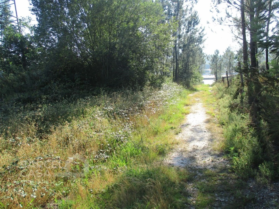 Terreno Comércio / Armazém para Venda em Ucha Foto 4