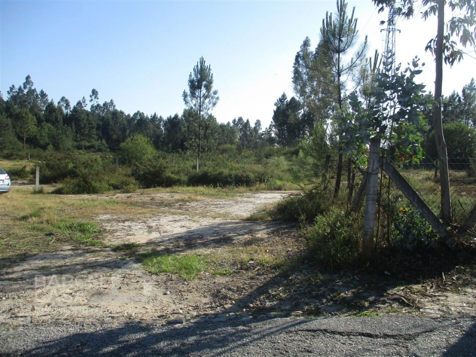Terreno Comércio / Armazém para Venda em Ucha Foto 7
