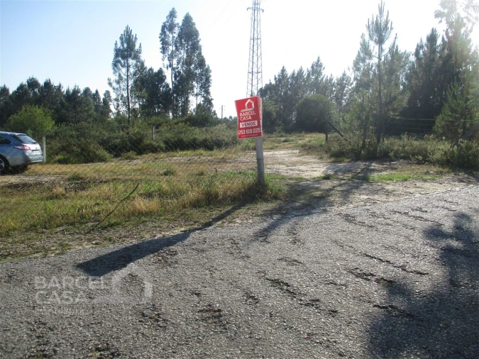 Terreno Comércio / Armazém para Venda em Ucha Foto 2