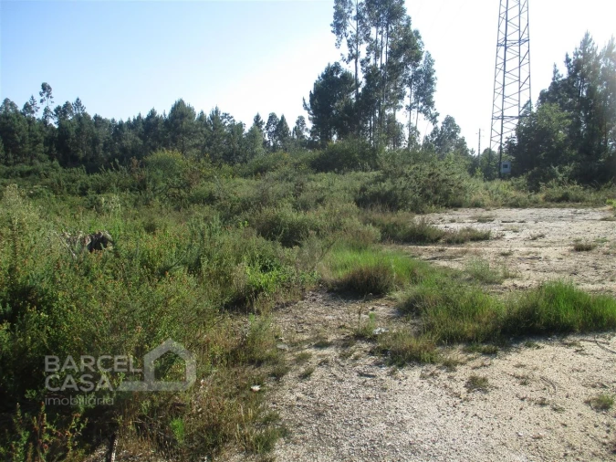 Terreno Comércio / Armazém para Venda em Ucha Foto 6