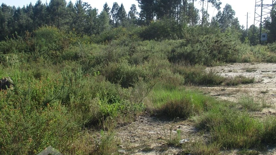 Terreno Comércio / Armazém para Venda em Ucha