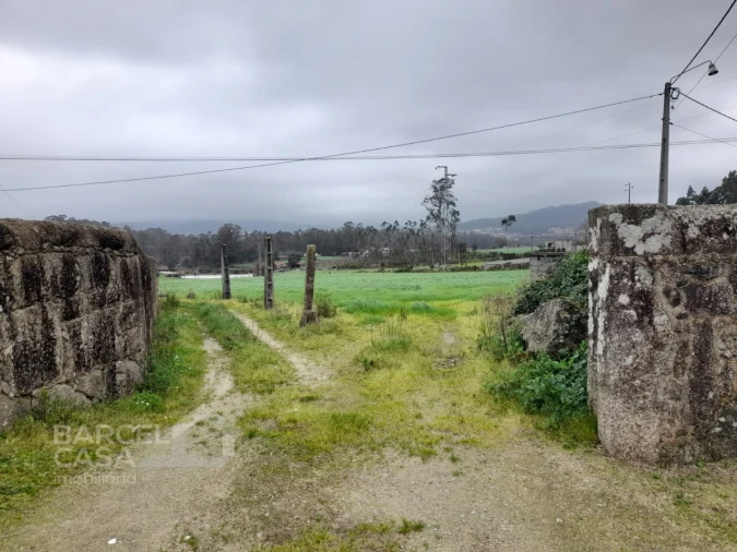 Terreno Agricola ou Rústico para Venda em Fornelos Foto 2