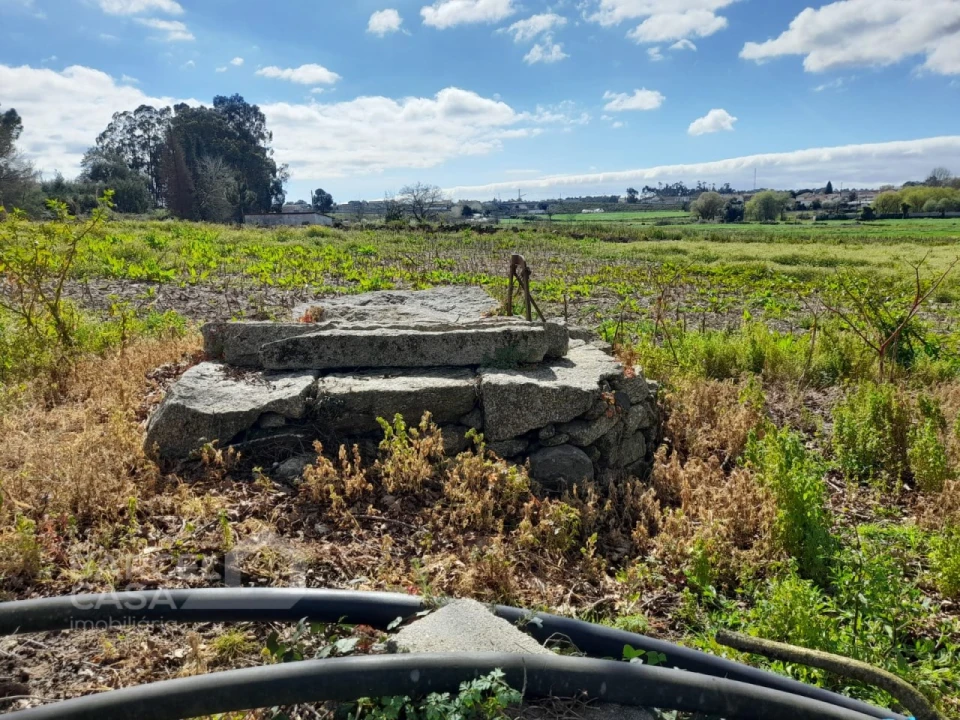 Terreno Agricola ou Rústico para Venda em Gilmonde Foto 5