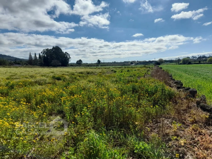 Terreno Agricola ou Rústico para Venda em Gilmonde Foto 3