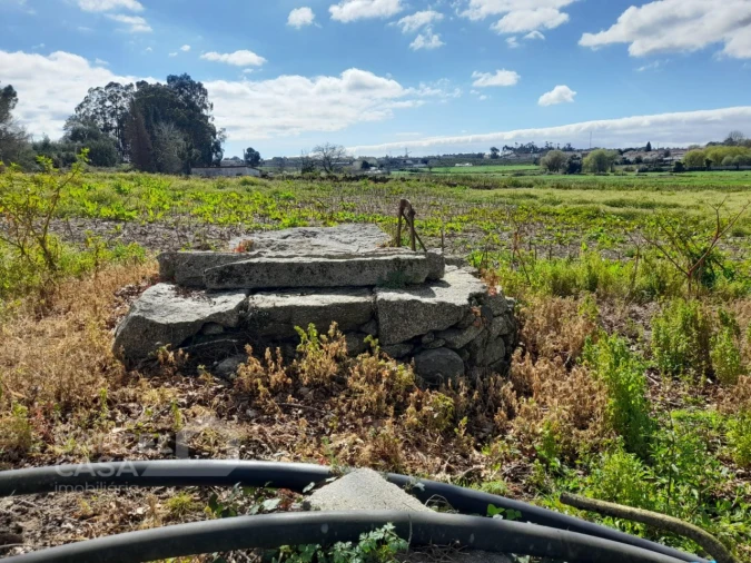 Terreno Agricola ou Rústico para Venda em Gilmonde Foto 5