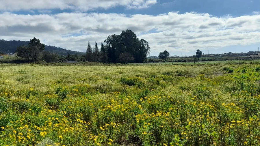 Terreno Agricola ou Rústico para Venda em Gilmonde