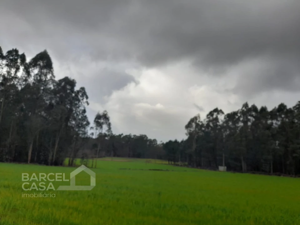 Terreno Agricola ou Rústico para Venda em Gilmonde Foto 1